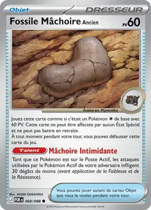 Fossile Mâchoire Ancien