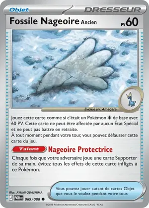 Fossile Nageoire Ancien