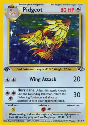 Pidgeot - Kagemaru Himeno