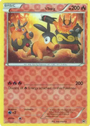 _____'s Tepig