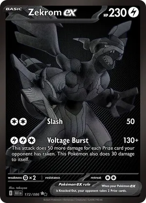 Zekrom ex