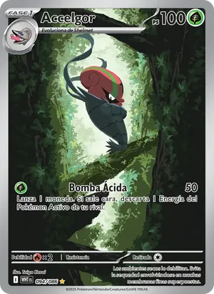 Accelgor image
