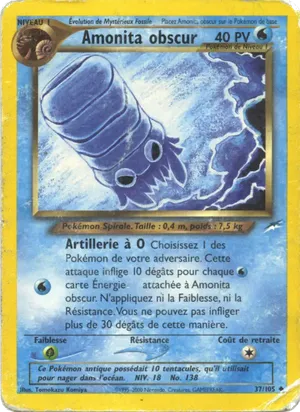 Amonita obscur