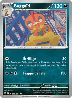 Baggaïd image