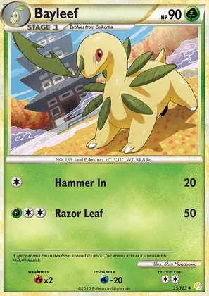 Bayleef image