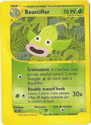 Boustiflor image