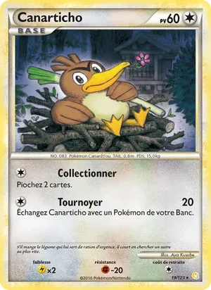 Canarticho image