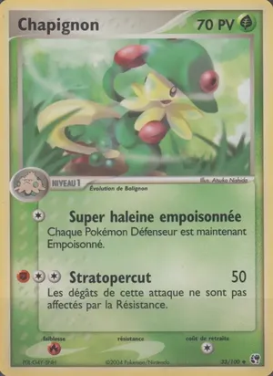 Chapignon