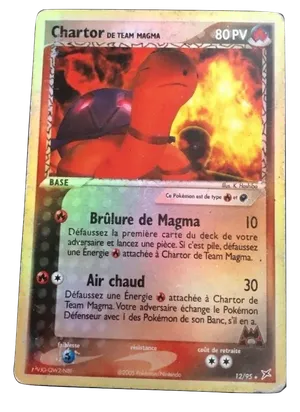 Chartor de Team Magma