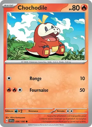 Chochodile image