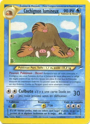 Cochignon lumineux