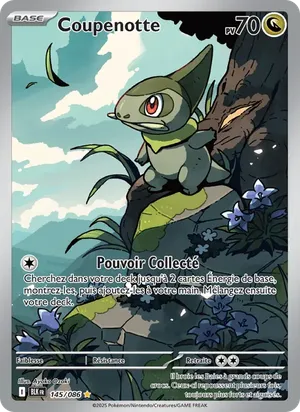 Coupenotte