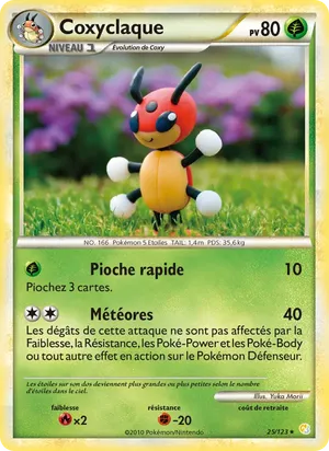 Coxyclaque image