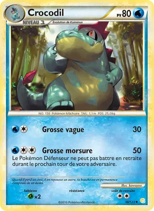 Crocodil image