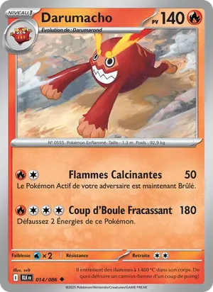 Darumacho