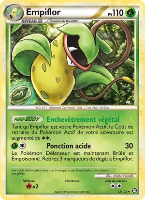 Empiflor image