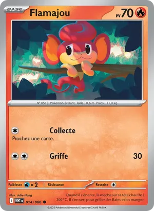 Flamajou image