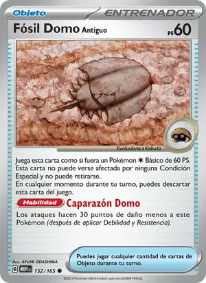 Fósil Domo Antiguo