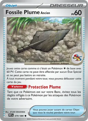 Fossile Plume Ancien image