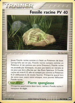 Fossile racine