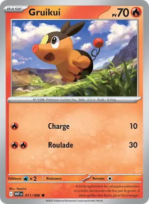 Gruikui