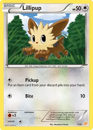 Lillipup image