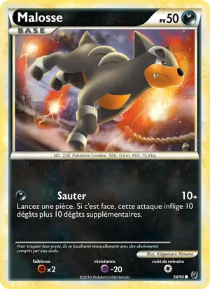 Malosse image