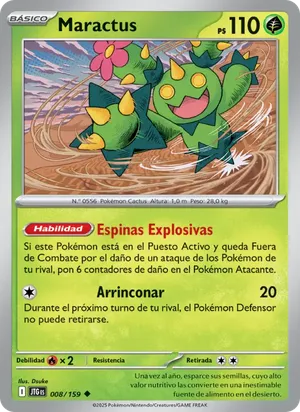 Maractus
