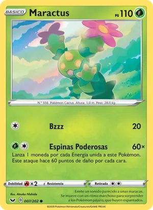 Maractus