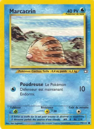 Marcacrin - Ken Sugimori