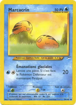 Marcacrin