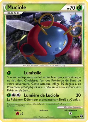 Muciole image
