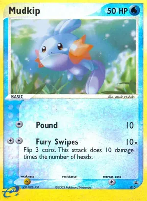 Mudkip image