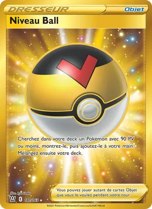 Niveau Ball