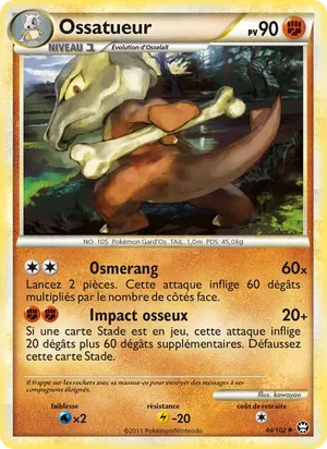 Ossatueur image
