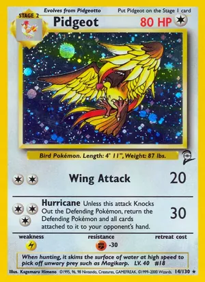Pidgeot - Kagemaru Himeno