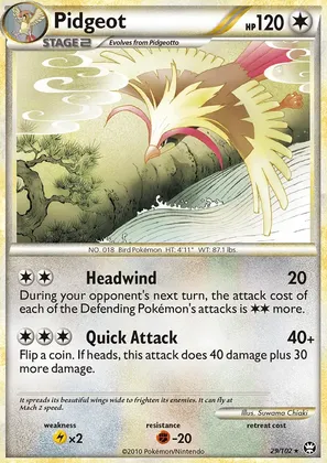 Pidgeot image