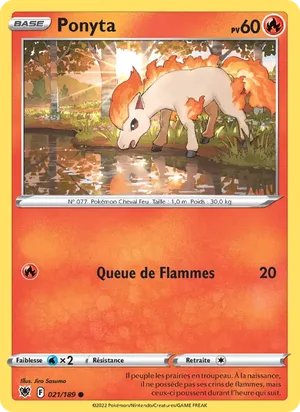 Ponyta