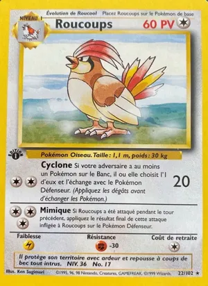 Roucoups - Ken Sugimori