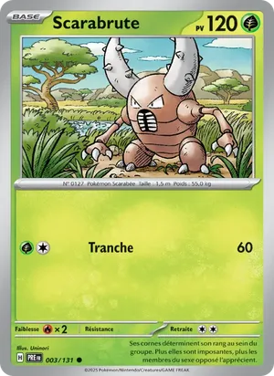 Scarabrute