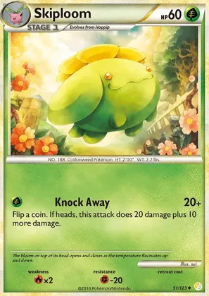 Skiploom image