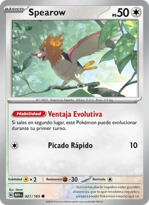 Spearow