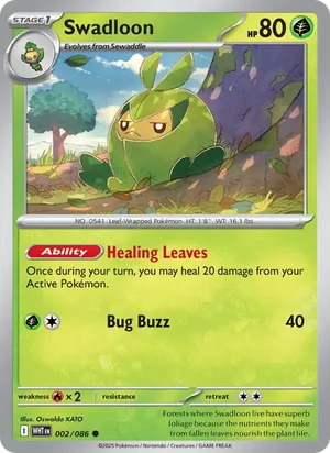 Swadloon