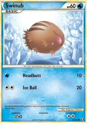 Swinub image