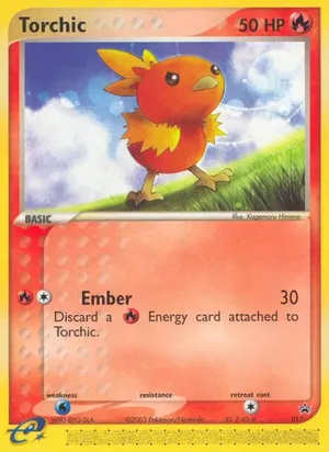 Torchic image