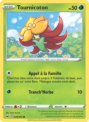 Tournicoton image
