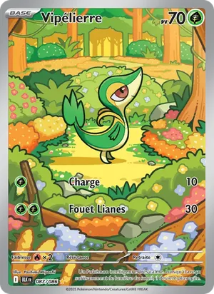 Vipélierre
