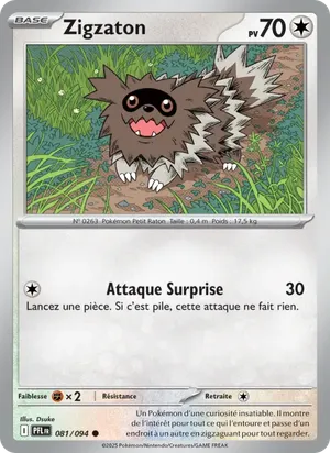 Zigzaton