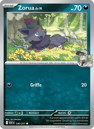 Zorua de N