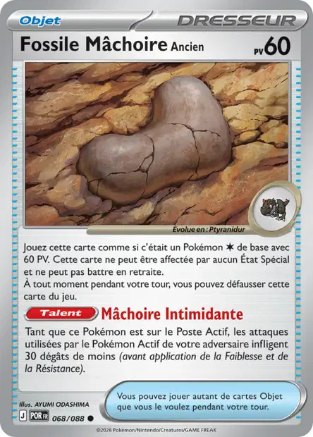 Fossile Mâchoire Ancien
